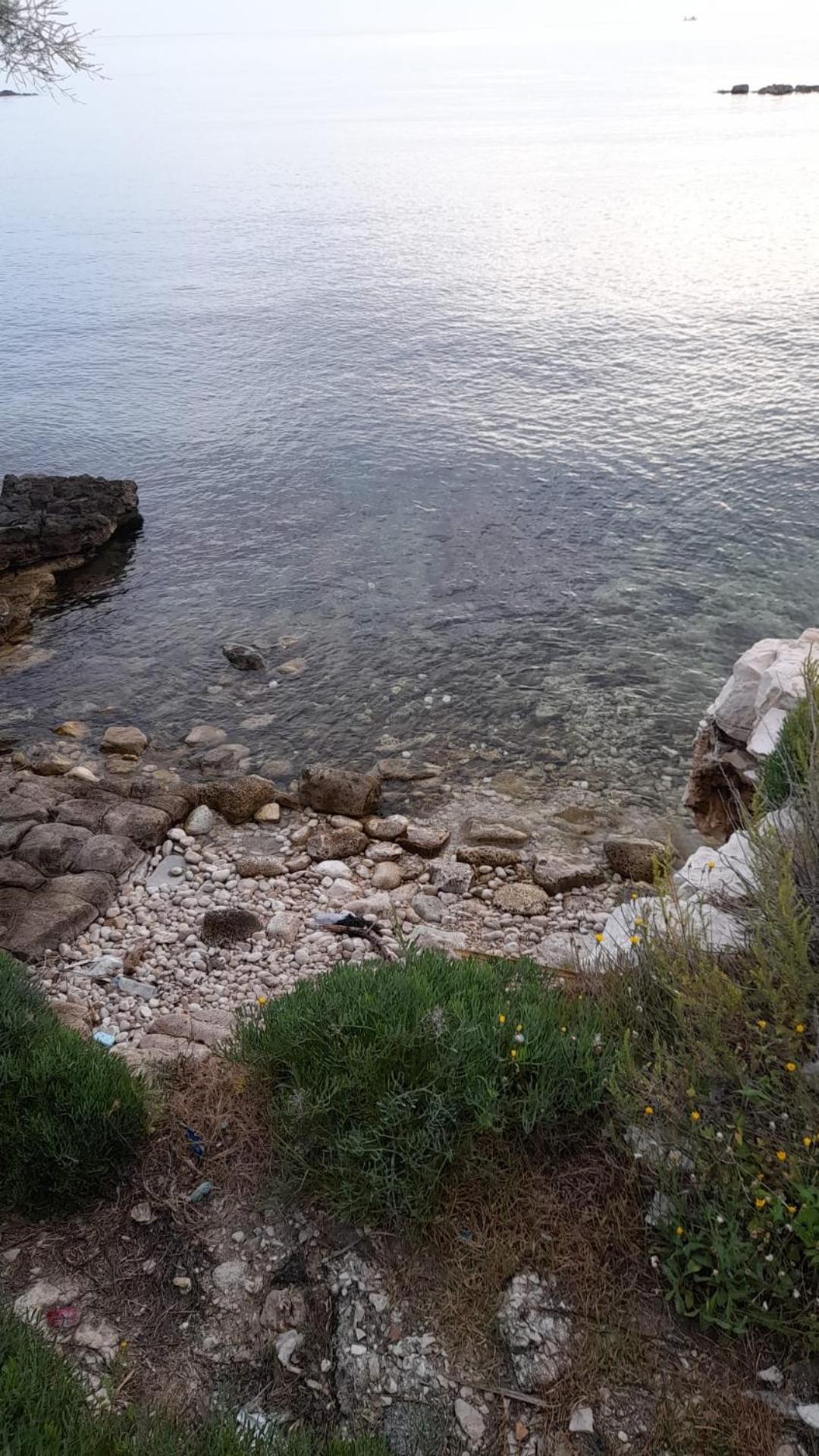 Affittacamere Il Labirinto Bisceglie Luaran gambar